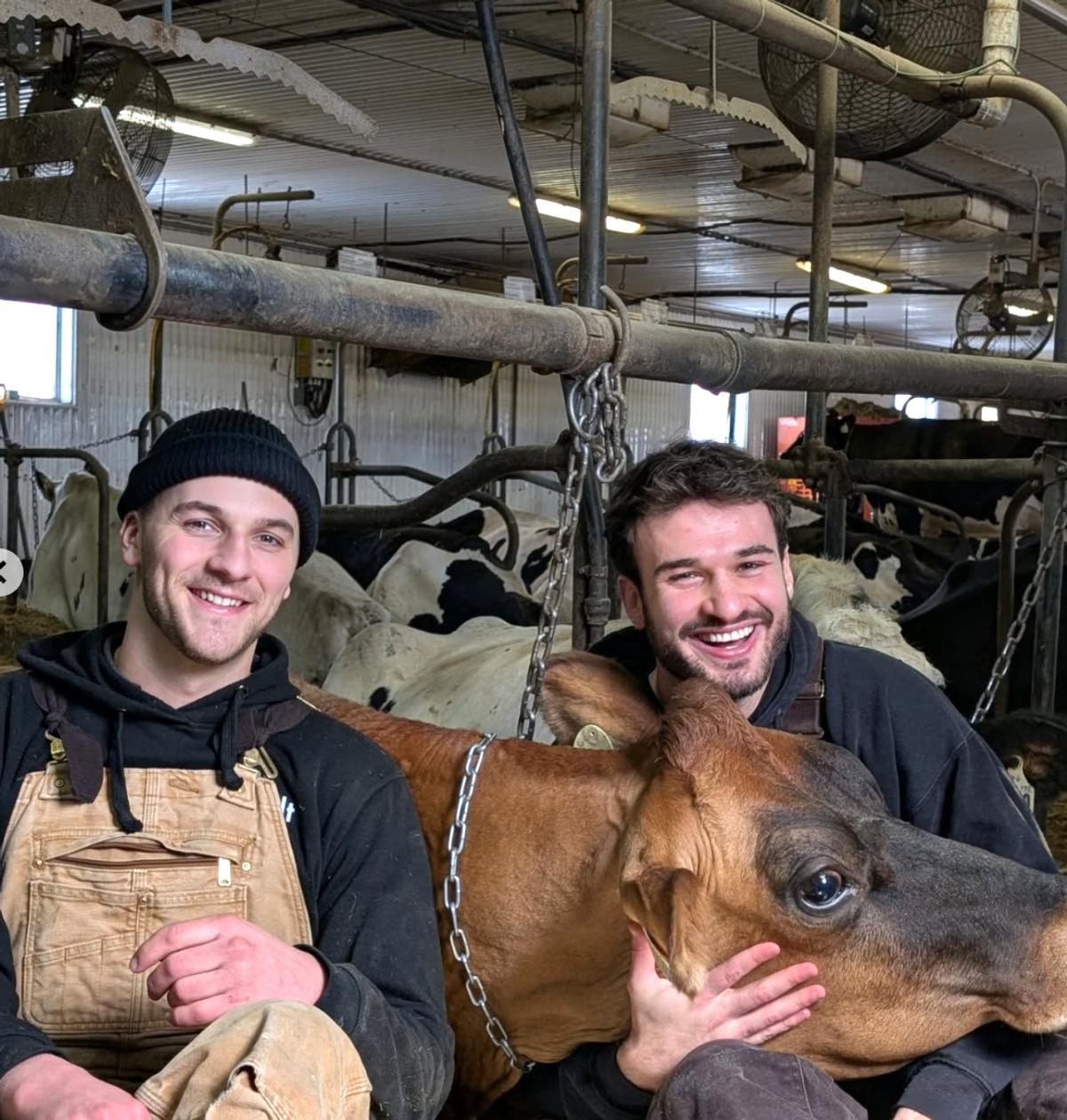 Keveen de L'amour est dans le pré