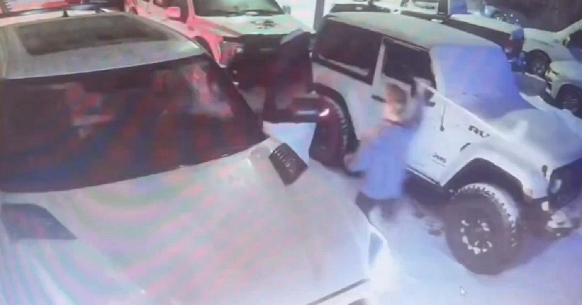 Hockey Stick-Thieves