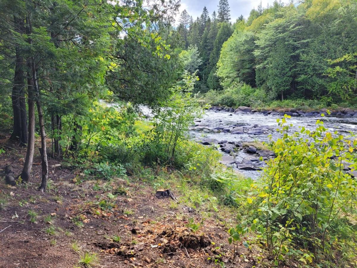 Berge accessible le long de la rivière