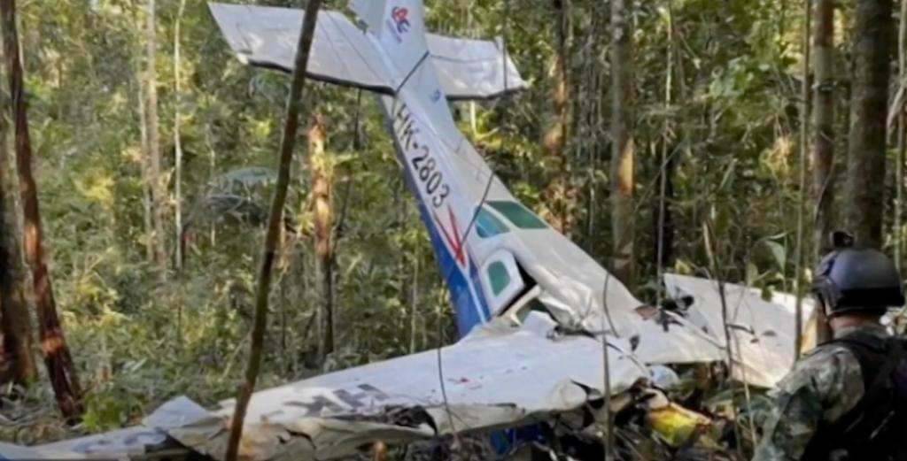4 enfants ont survécu dans la jungle 