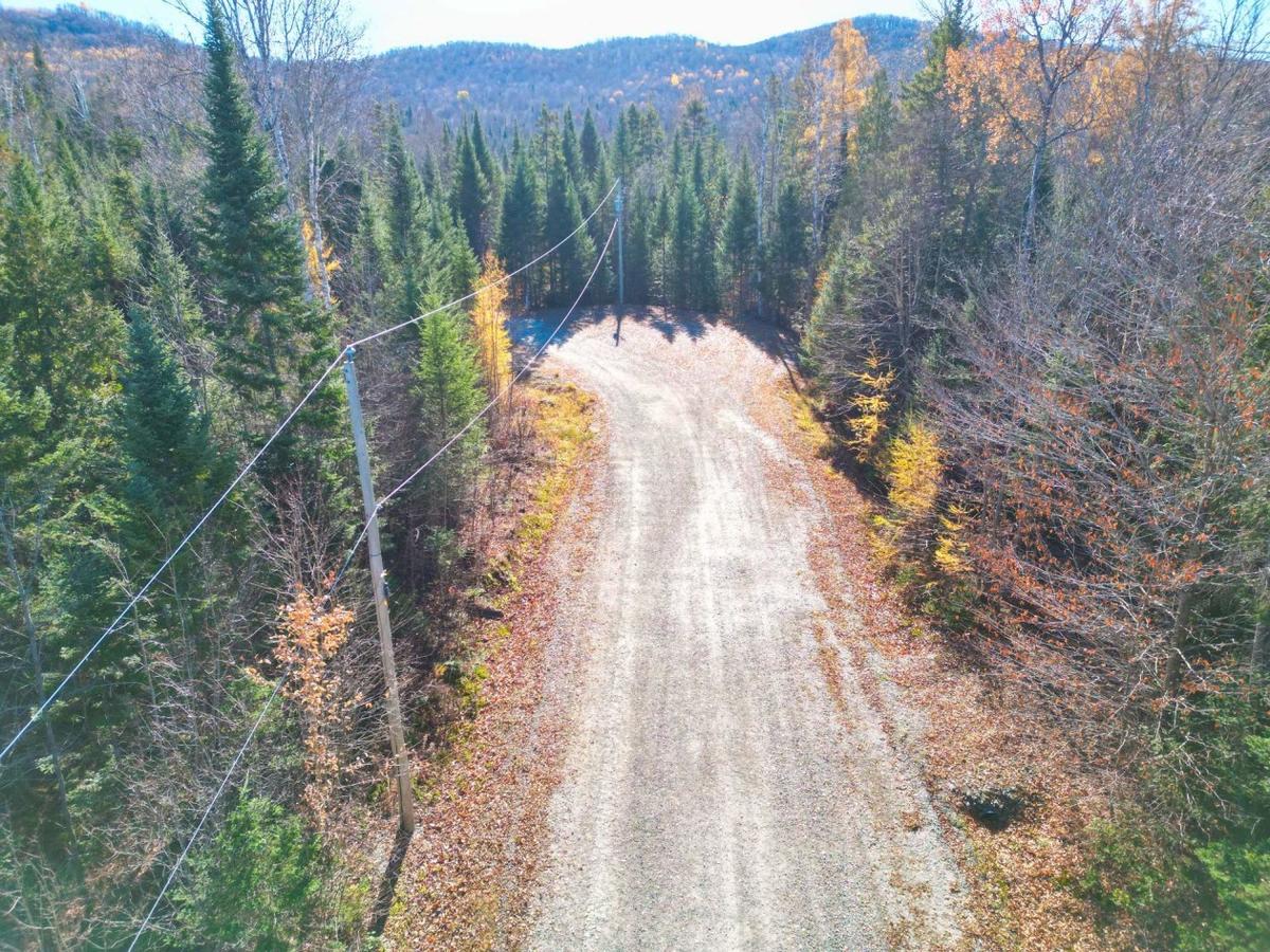Panorama forestier depuis l'un des lots