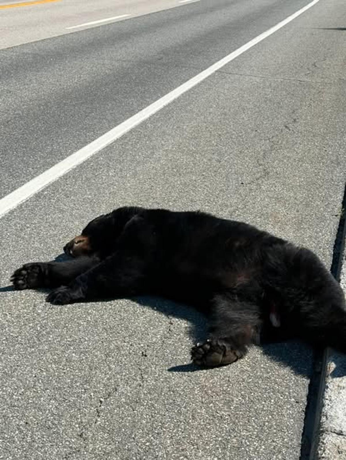 Image supplémentaire de l'accident