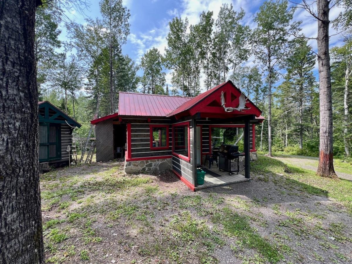Cabane à sucre dans l'érablière