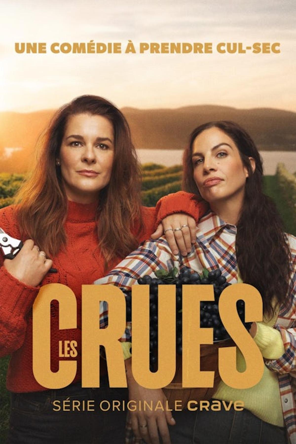 Affiche de Les Crues