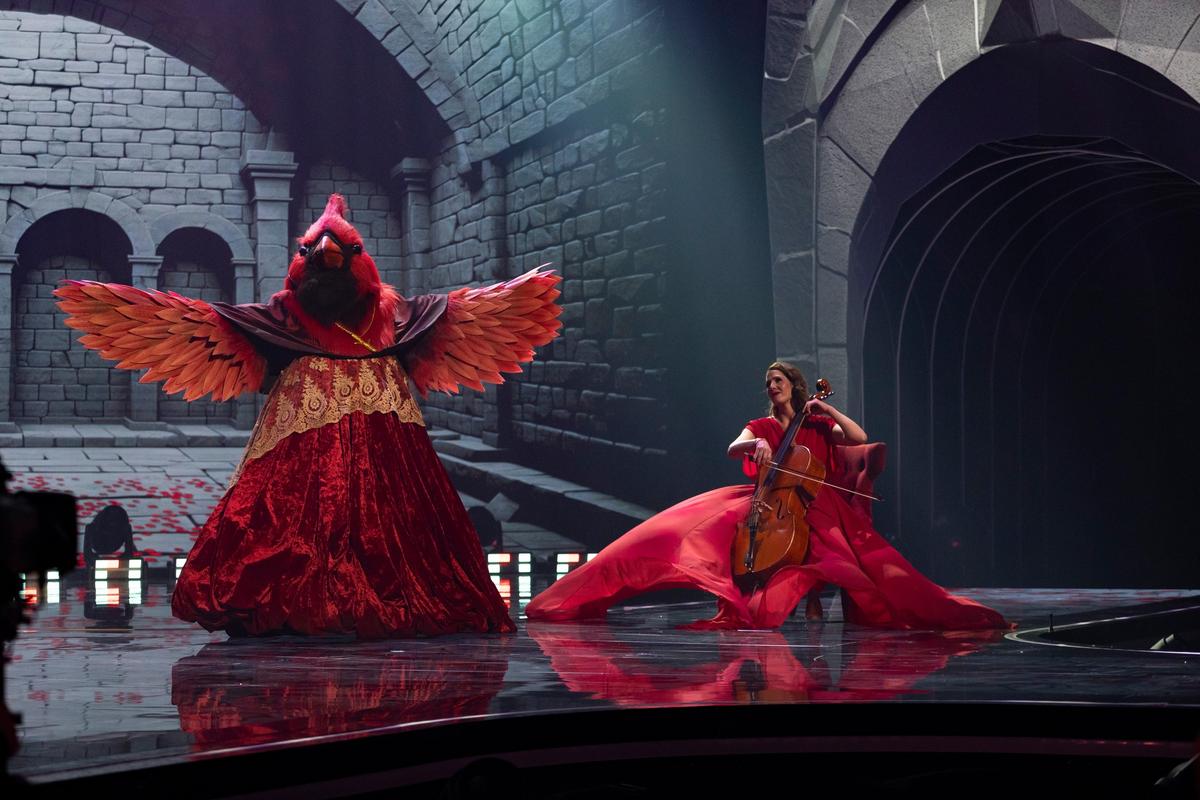 Cardinal à Chanteurs Masqués