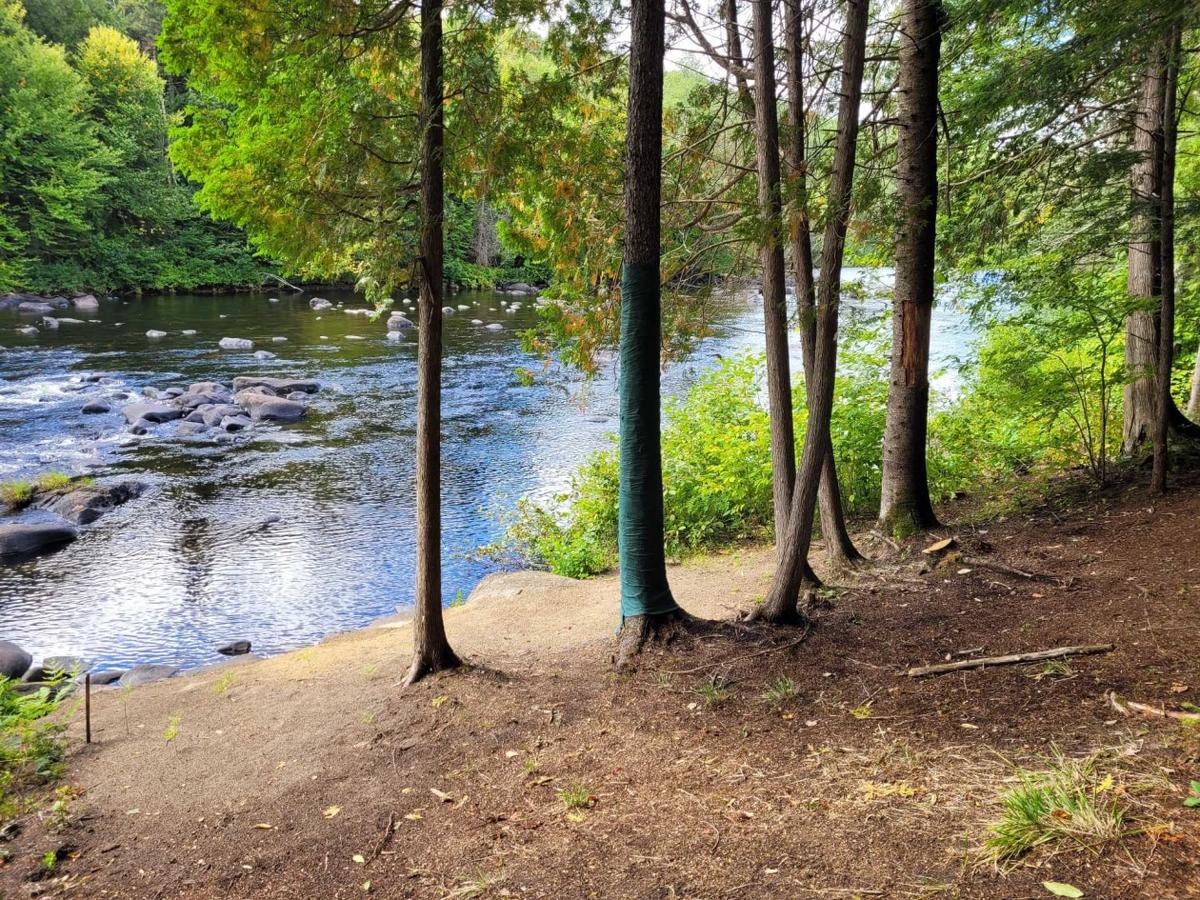 Vue sur la rivière et ses rapides