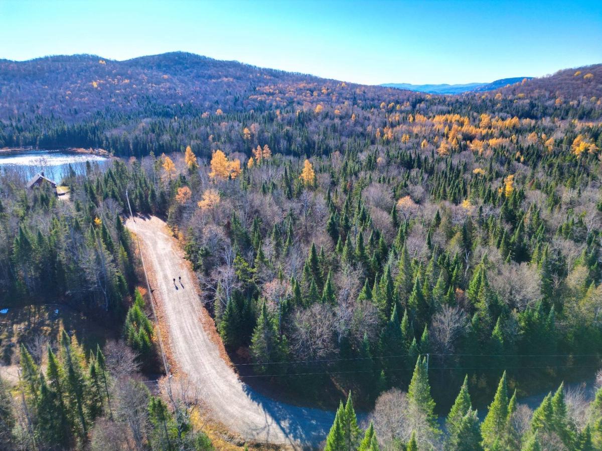 Vue aérienne du couvert forestier