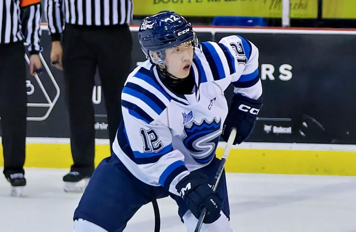 Saguenéens