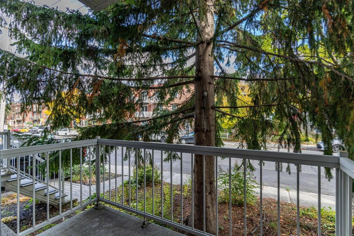 Ingrid Falaise met en vente son superbe duplex rénové au cœur du Nouveau-Rosemont