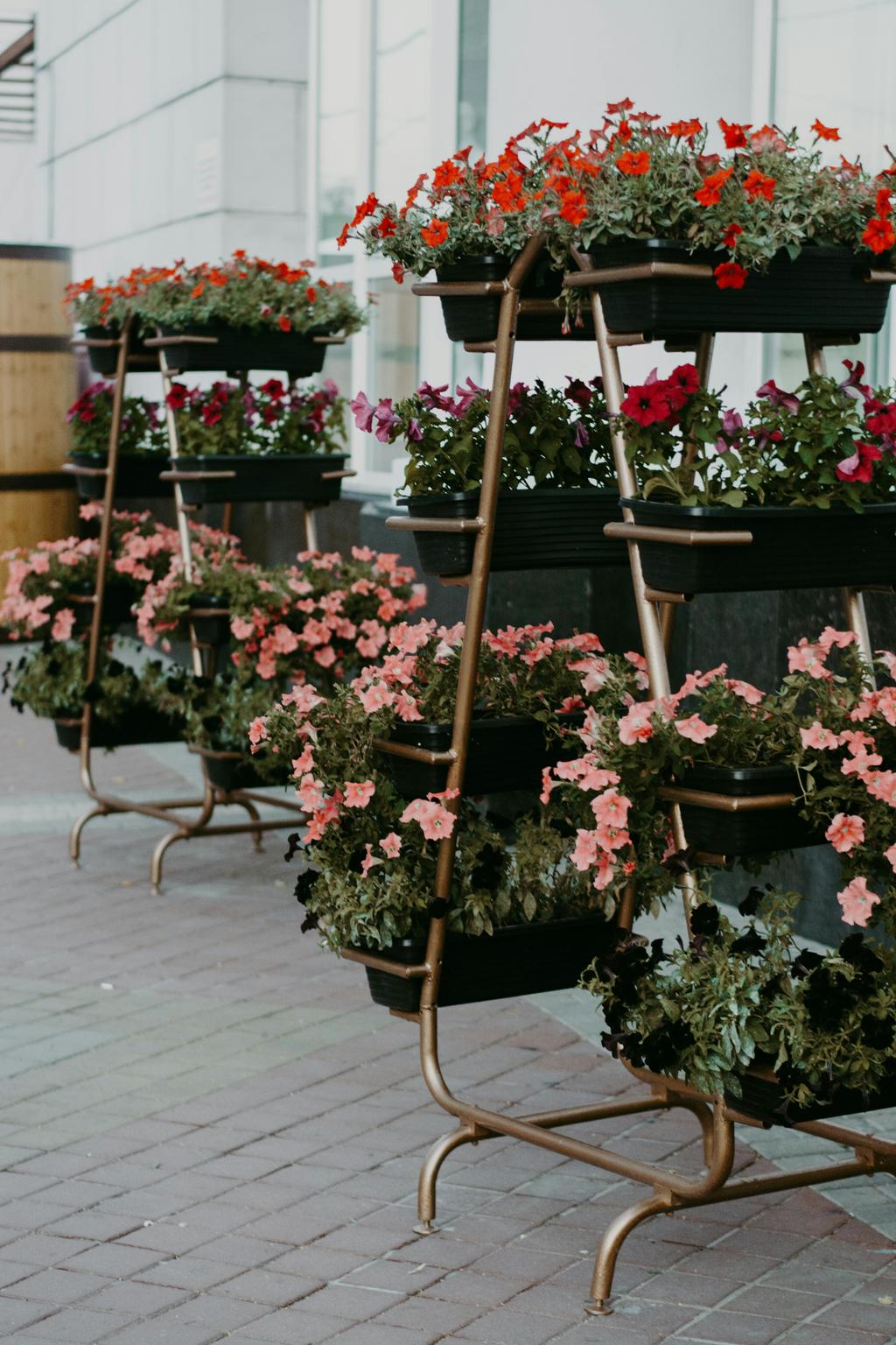 Fleurs en pot