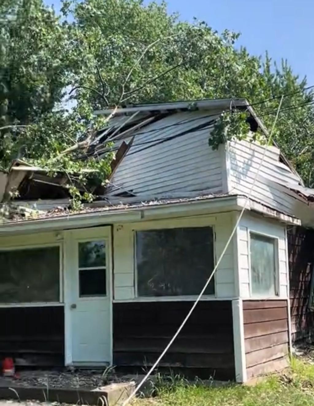 Arbre tombé sur maison