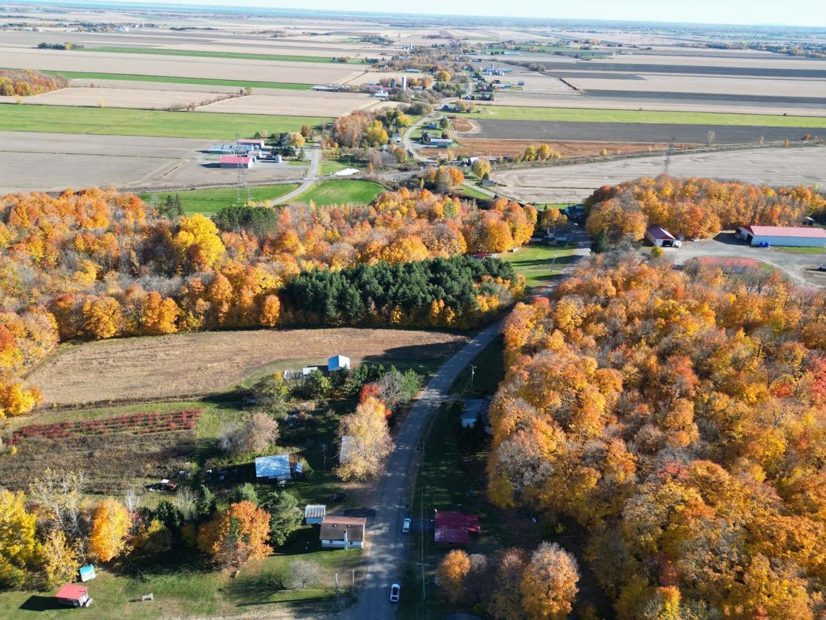Vue d'ensemble du terrain
