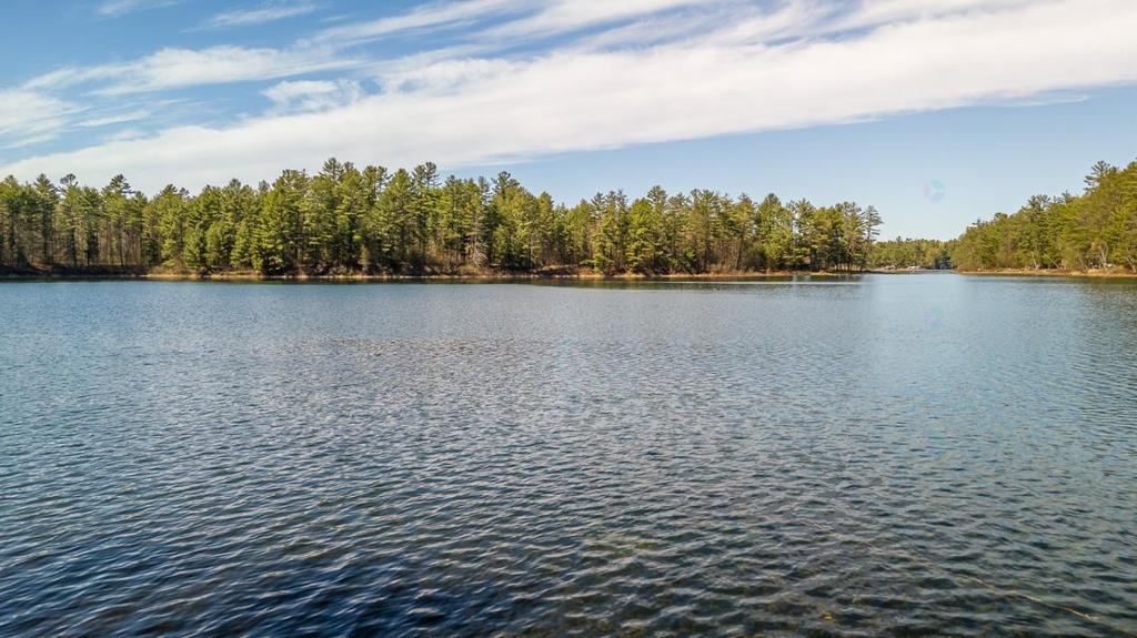 Otter Lake