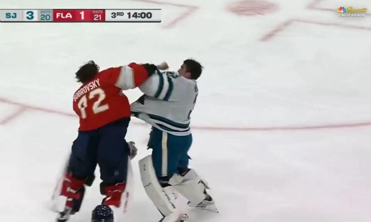 Goalies fight