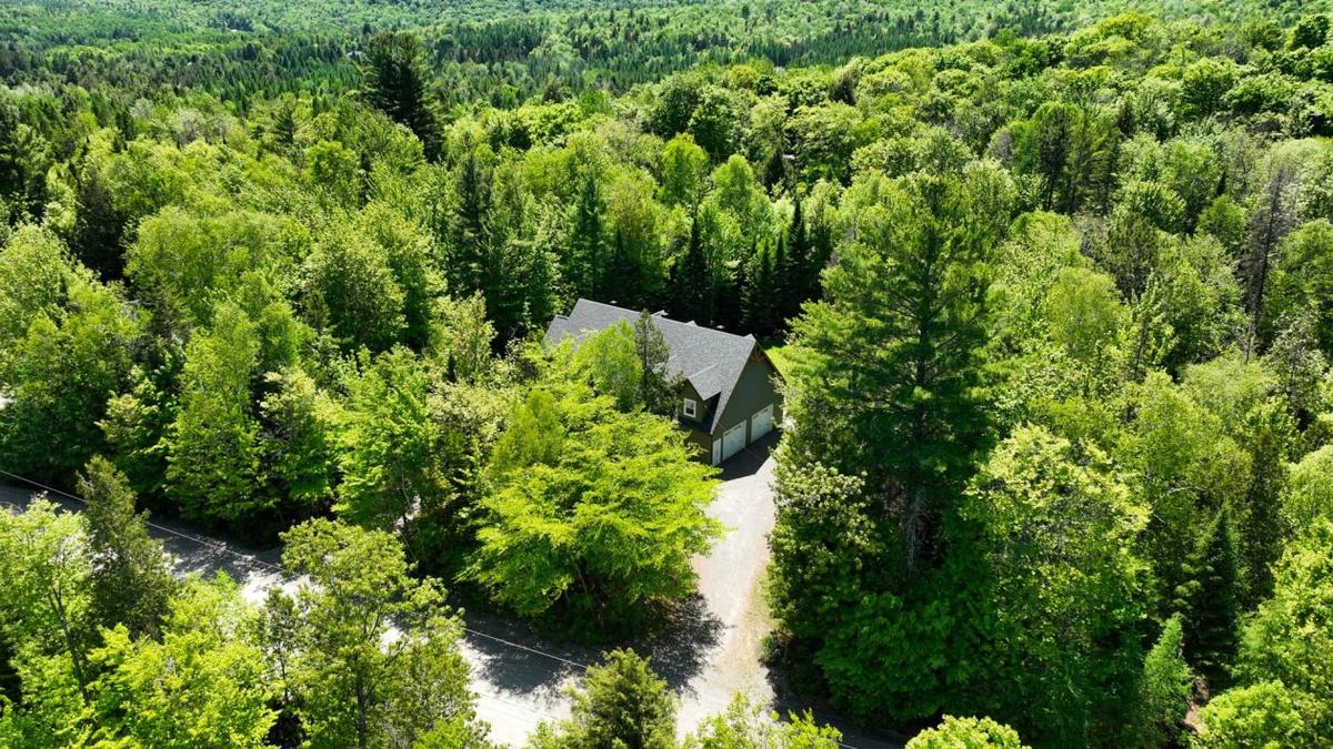 Vue aérienne du quartier et de la nature environnante