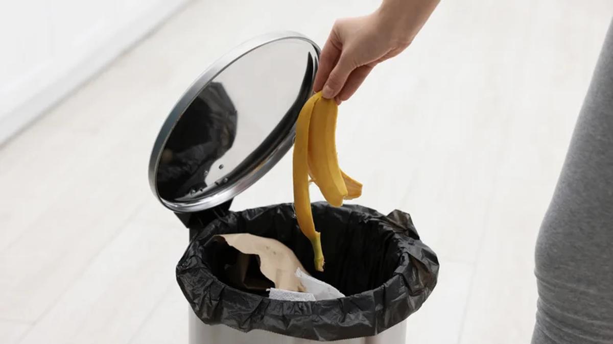 Poubelles