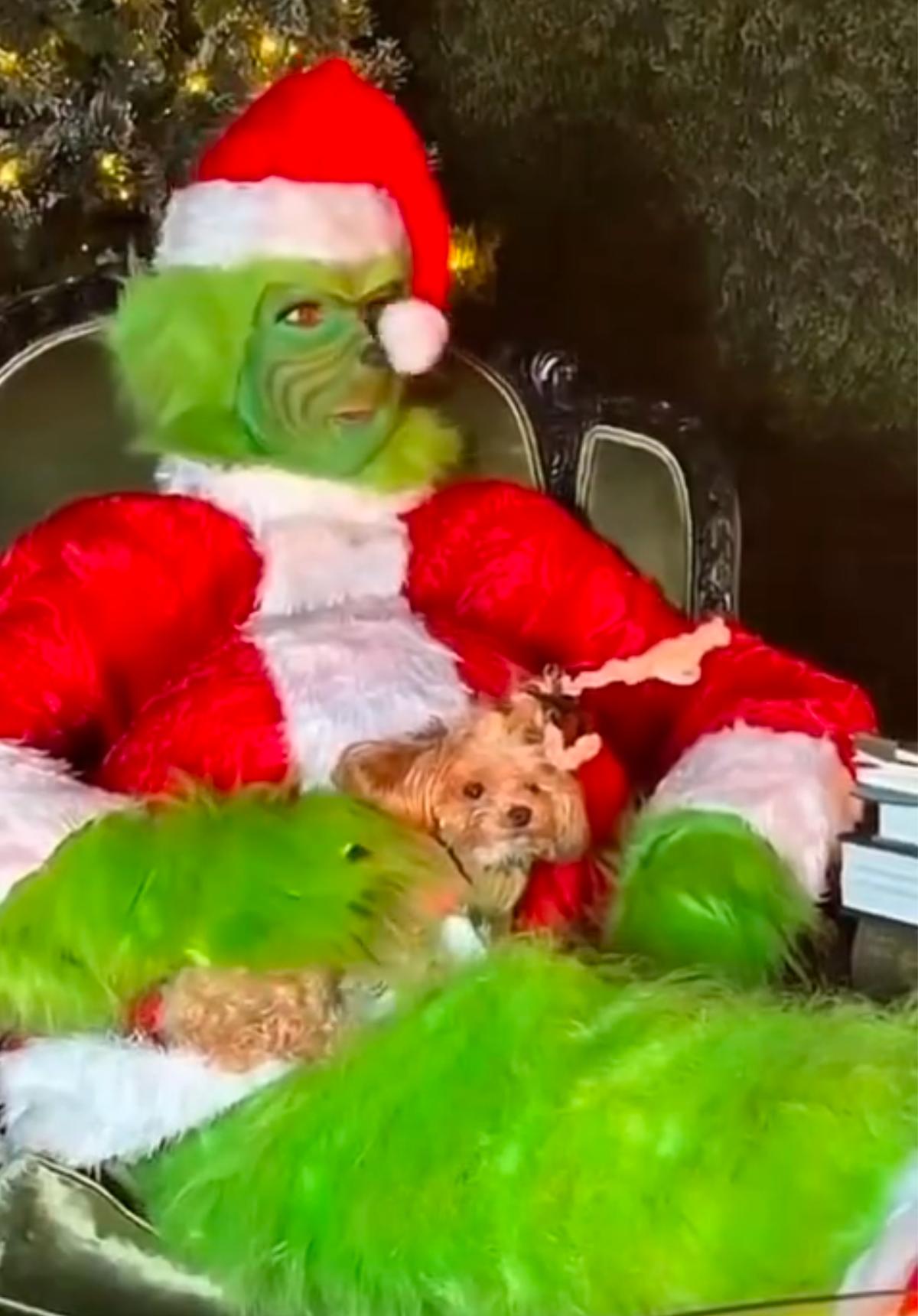 Céline Dion déguisé en Grinch