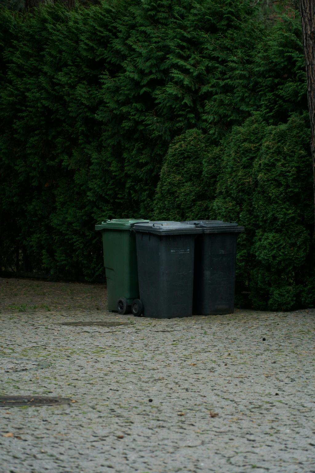 Poubelles, Pexel