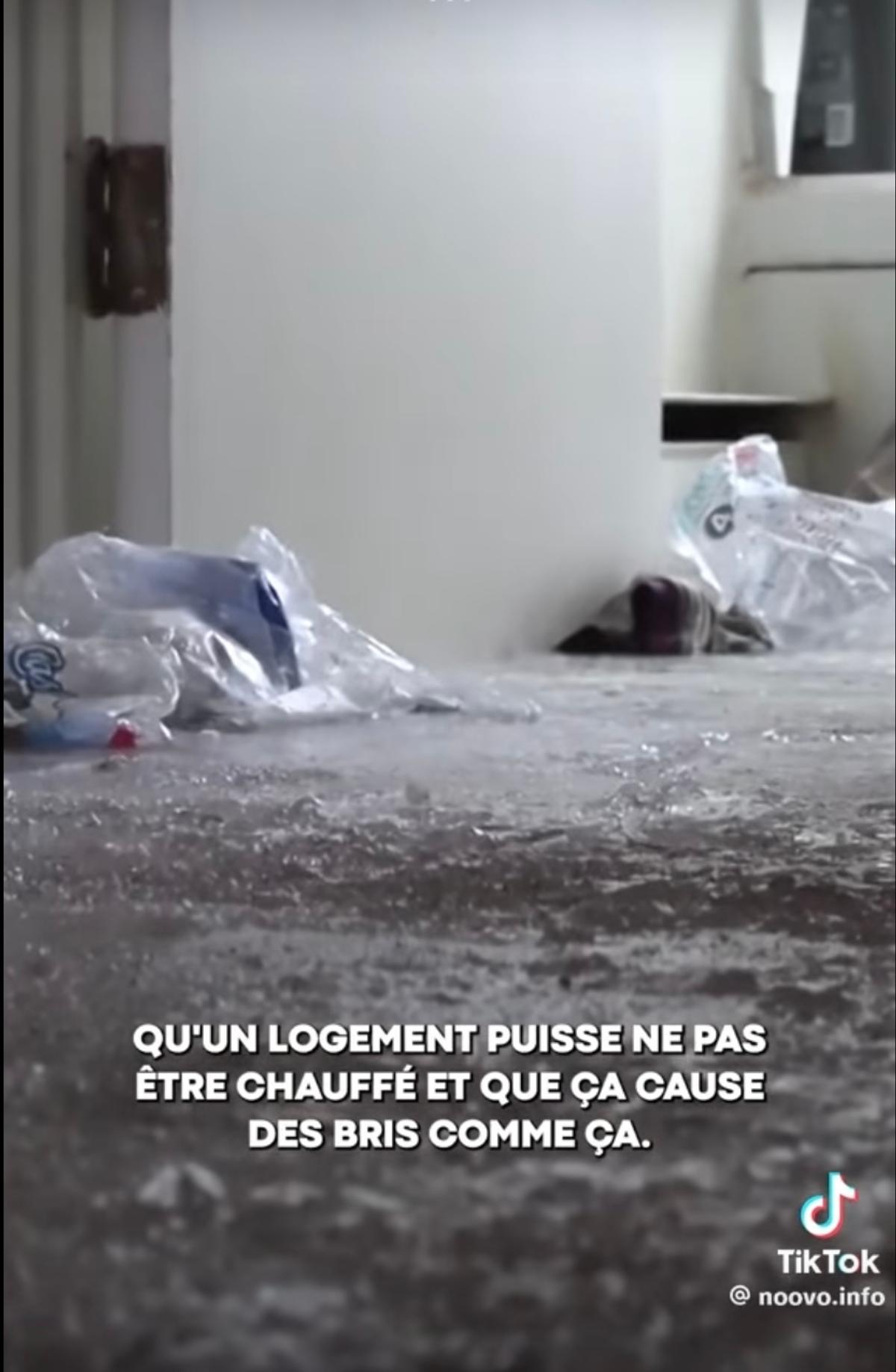 Immobilier