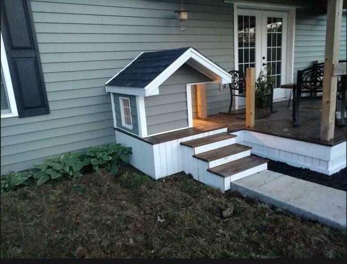 Porte pour chien