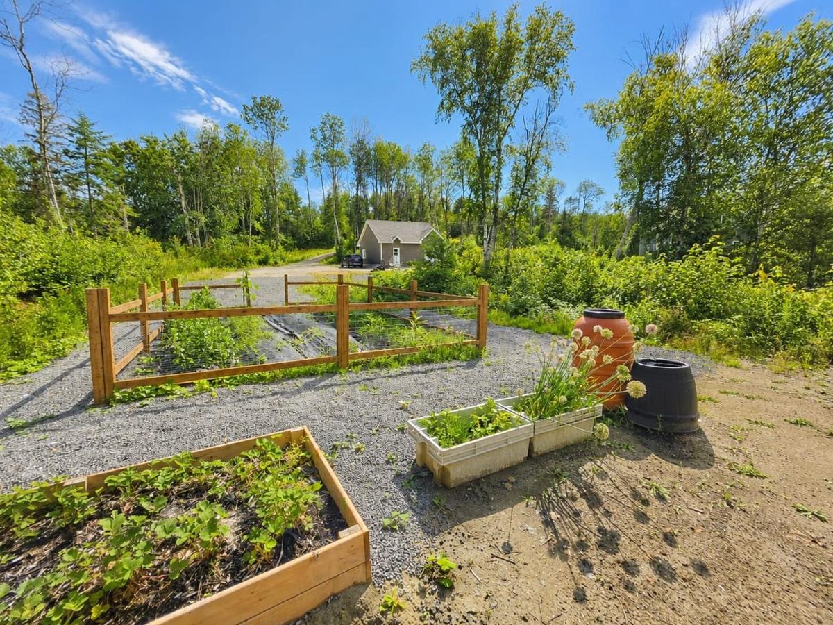 Jardin et potager sur le terrain