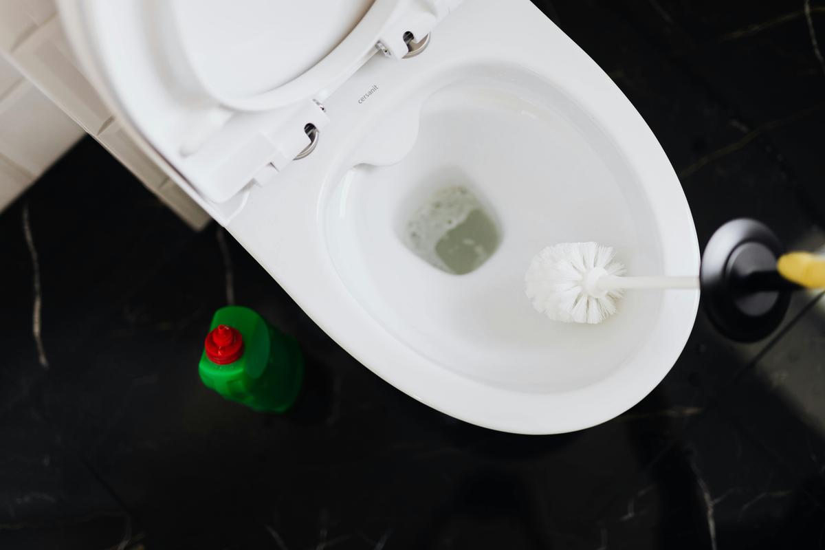 Bol toilette