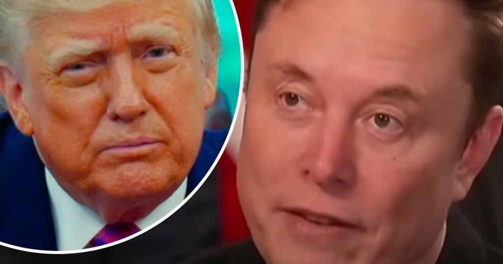 Elon Musk et Donald Trump