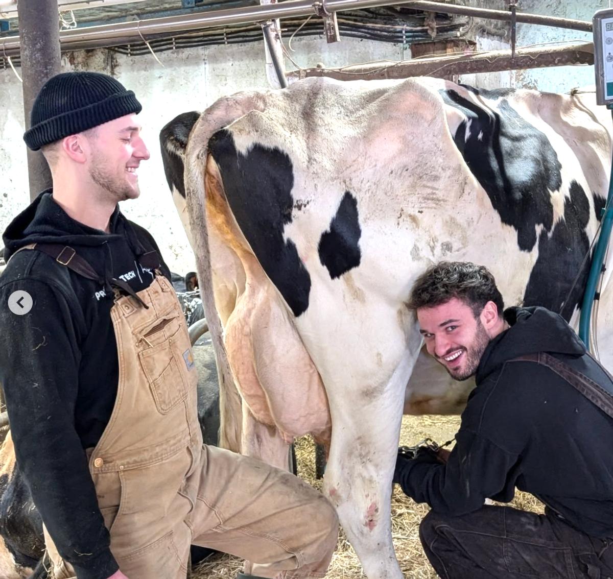 Keveen de L'amour est dans le pré