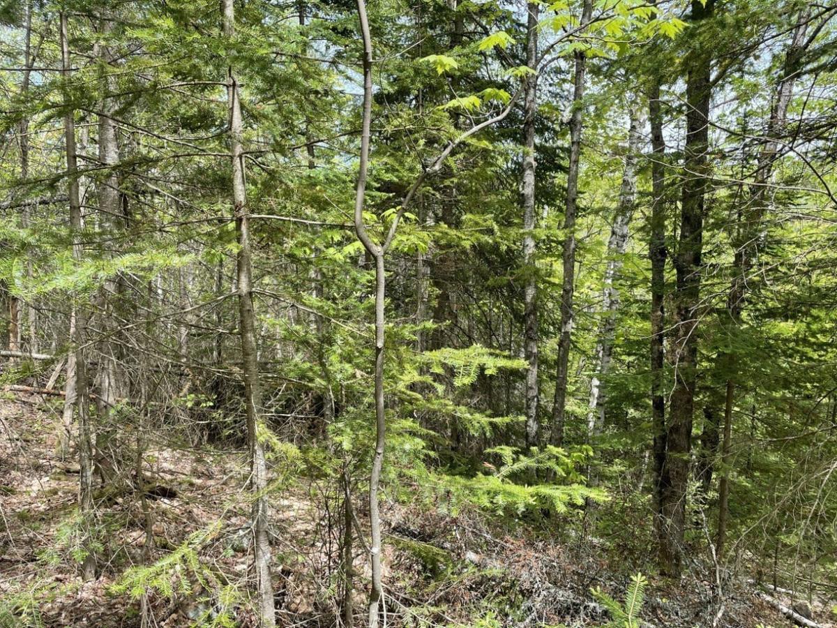 Vue dégagée depuis les hauteurs du terrain