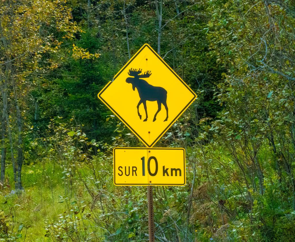Parcs Canada