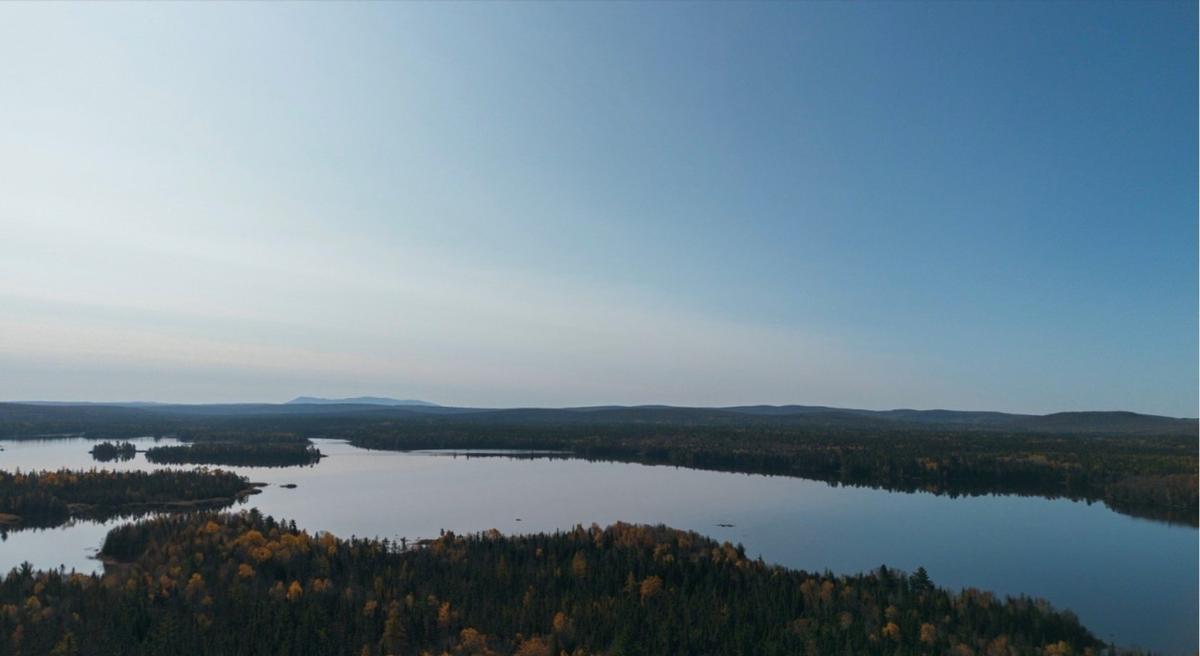 Survol du domaine et de la forêt environnante