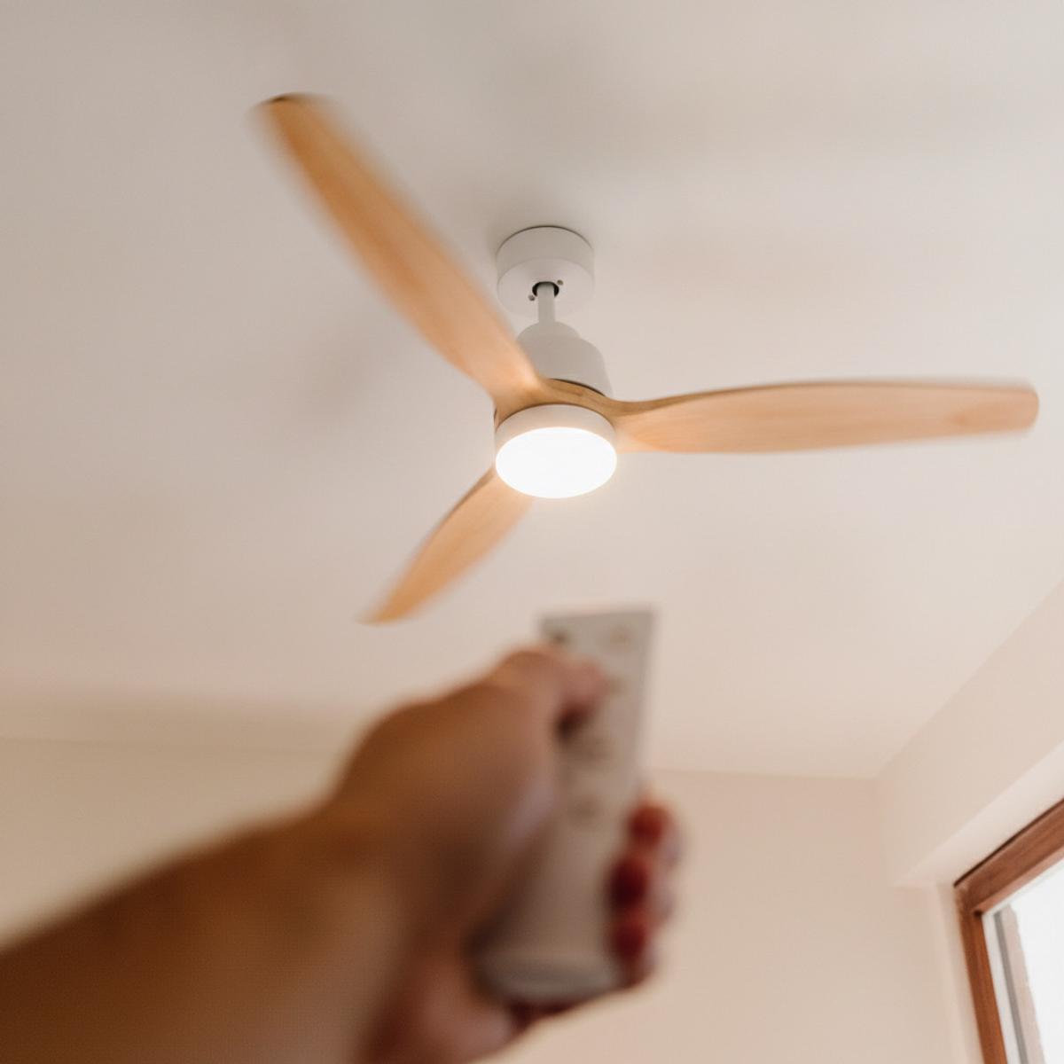 Ventilateur