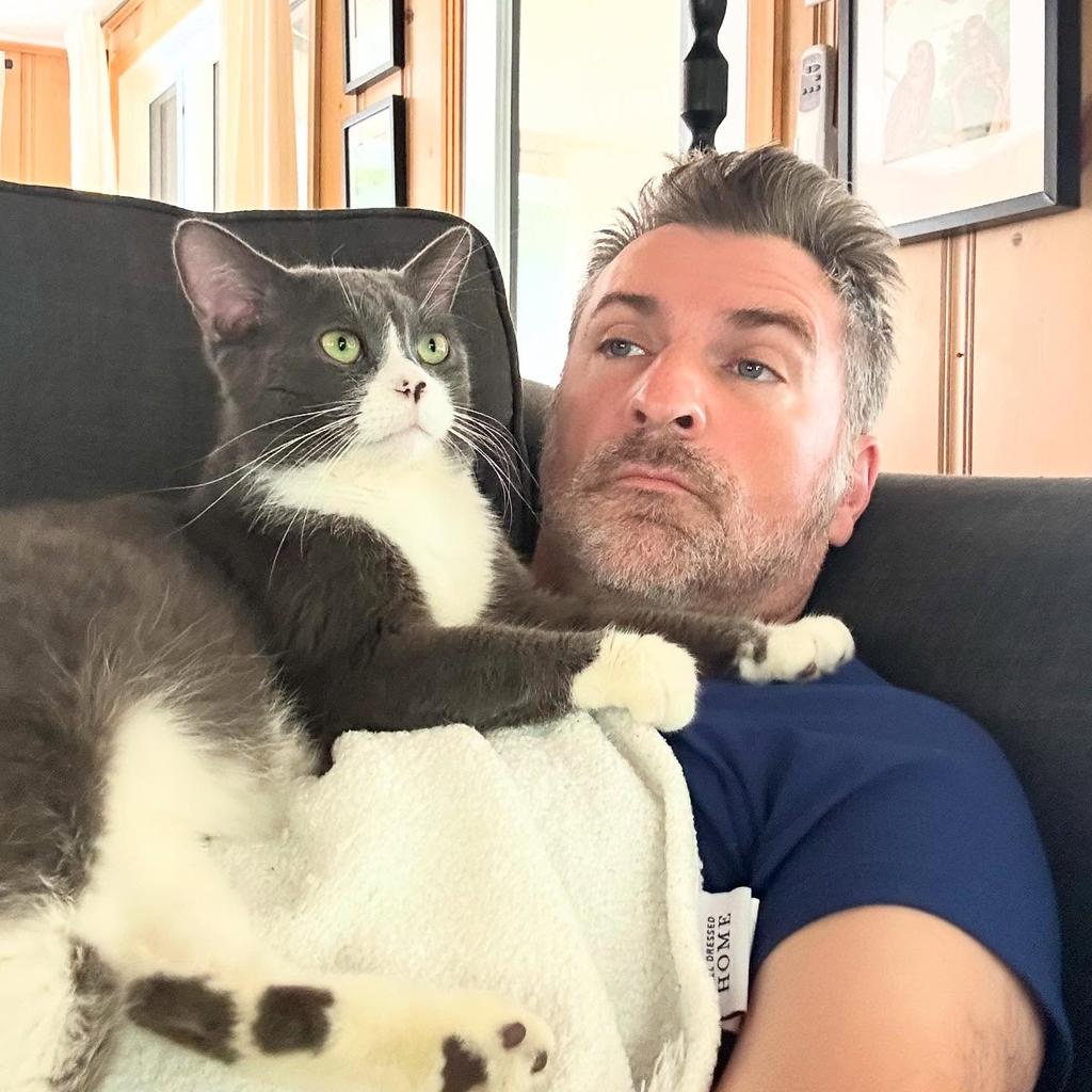 Laurier-Station, le nouveau chat de Jean-Thomas Jobin
