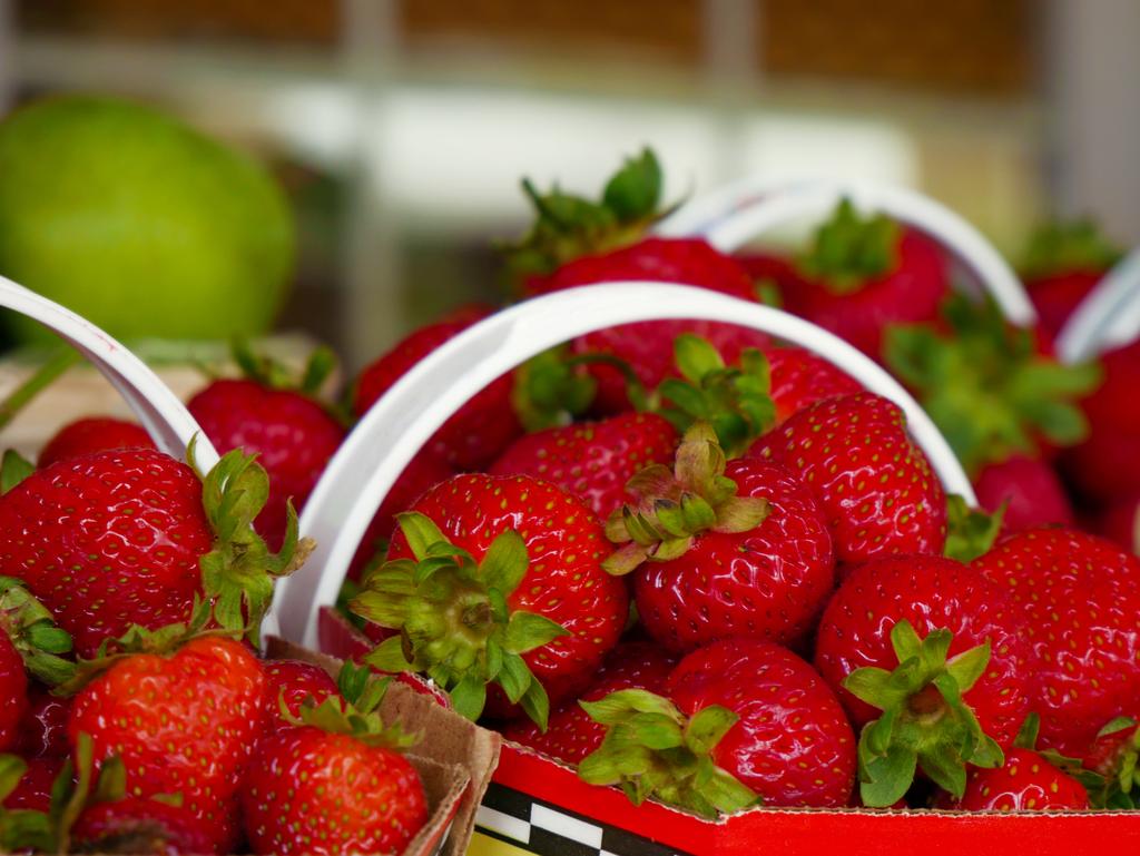 Fraises du Québec