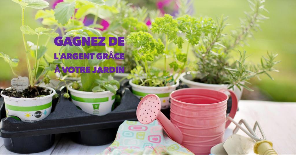 Jardin