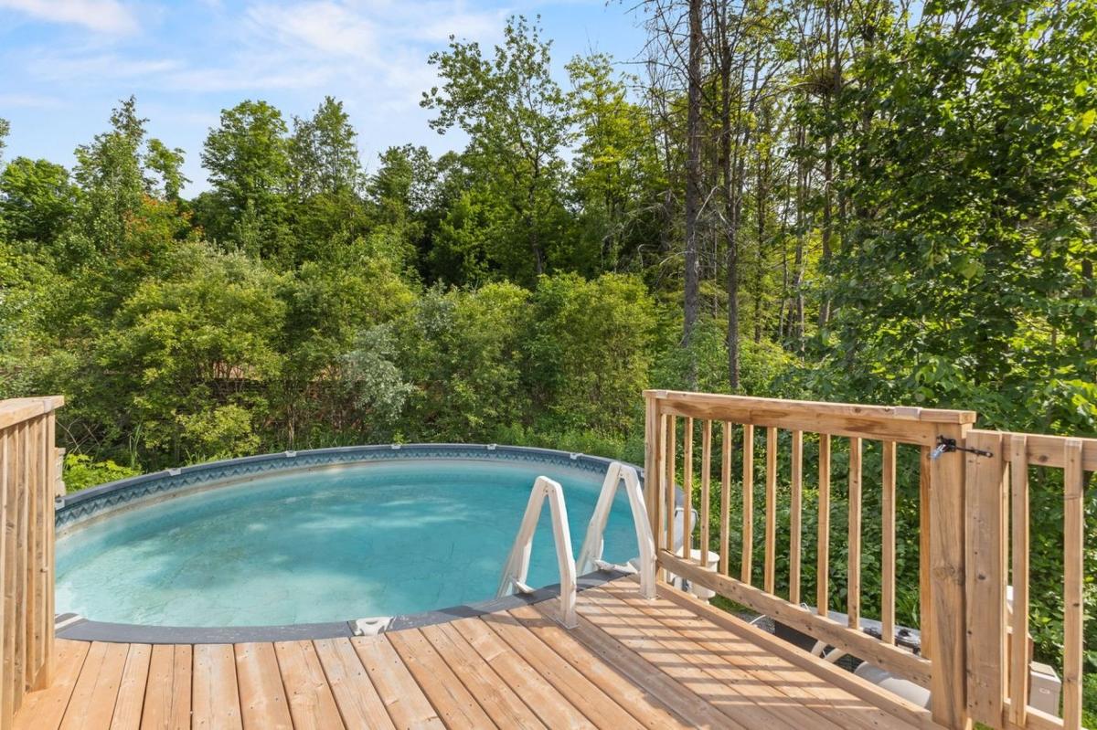 Piscine entourée de verdure