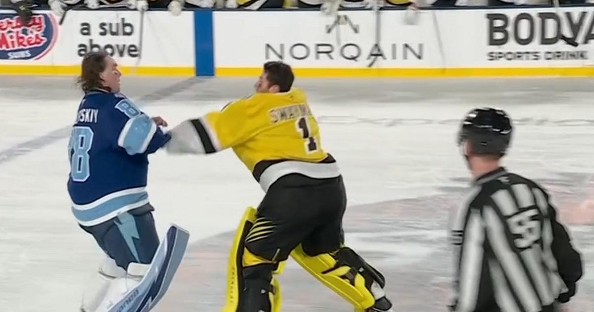 Jeremy Swayman-vs-Andrei Vasilevskiy