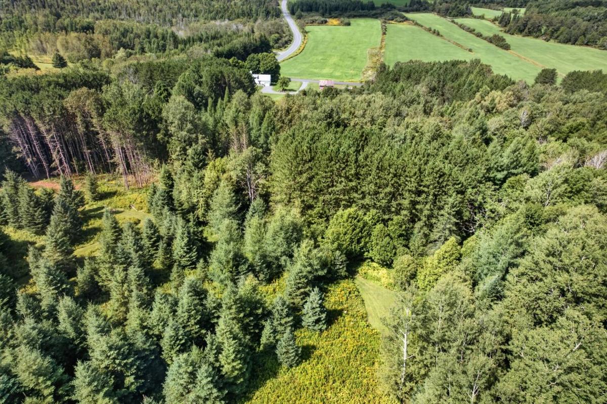 Le terrain dans son environnement