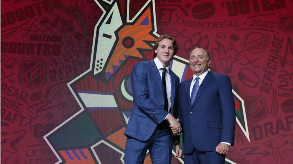 Gary Bettman, Arizona