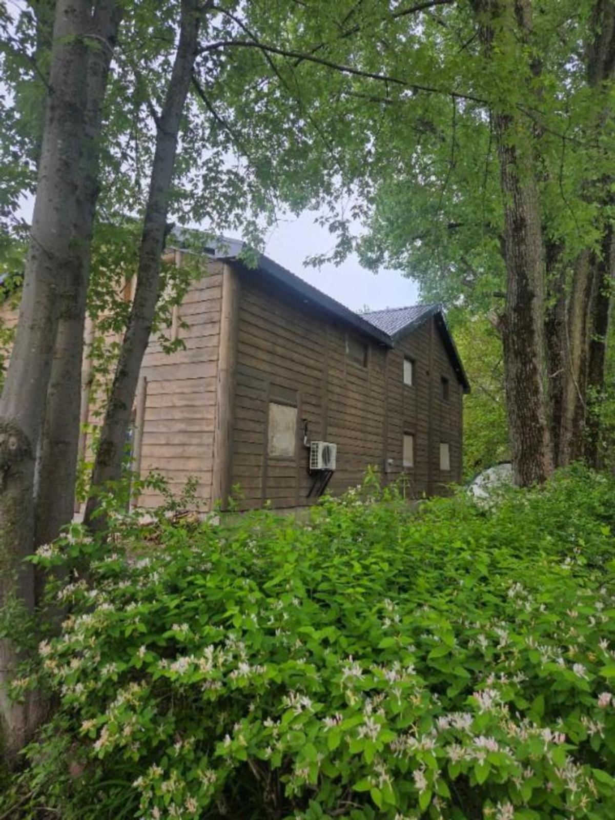 Structure intérieure en poutres de bois rond