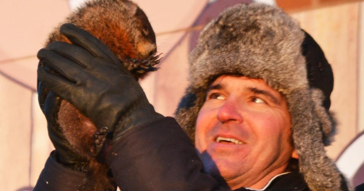 Fred la Marmotte Officielle du Québec