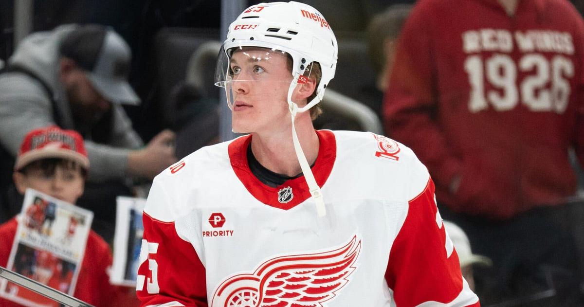 Jacob Bernard Docker-Red wings-IMAGN IMAGES-Reuters
