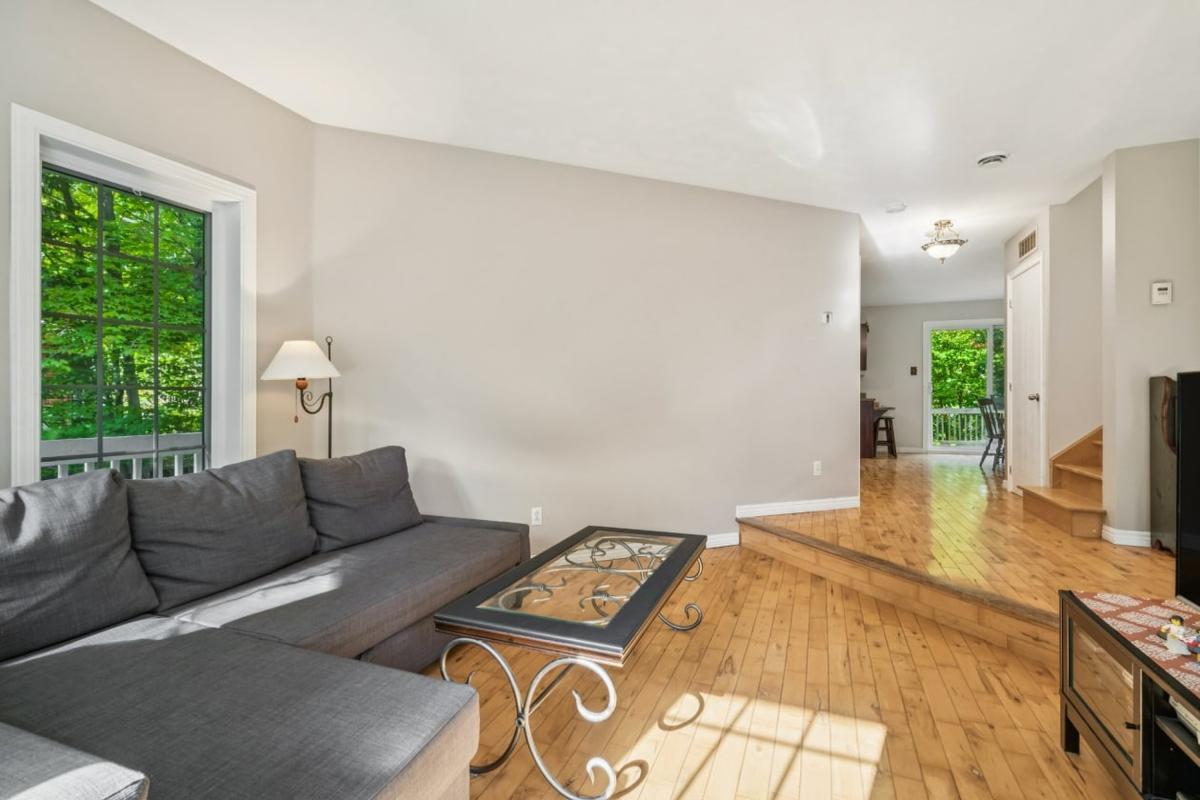 Le salon et son foyer au bois
