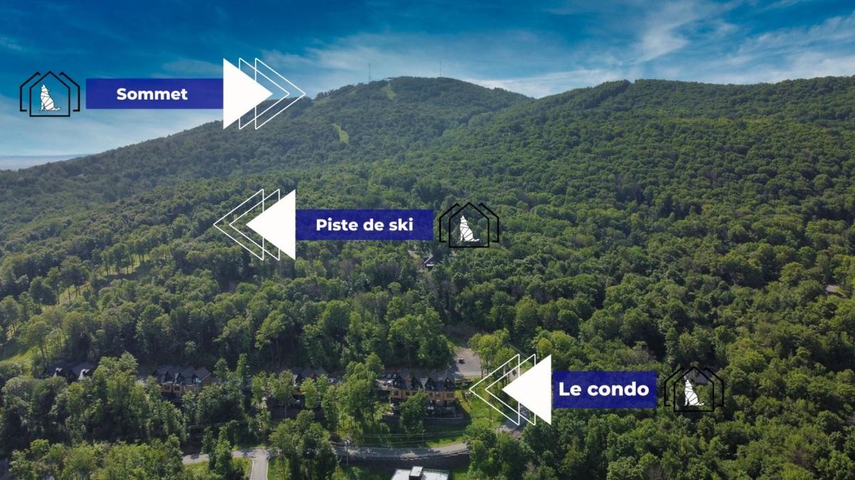 Vue aérienne du secteur