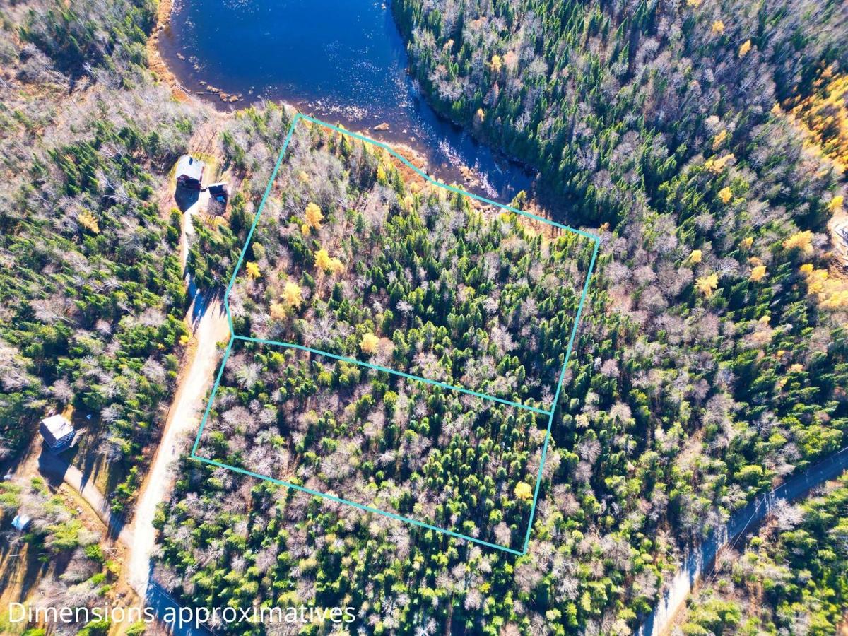 Vue d'ensemble du couvert forestier sur les terrains