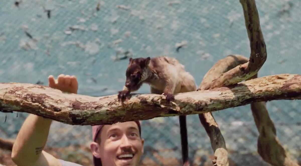 D'un zoo à l'autre
