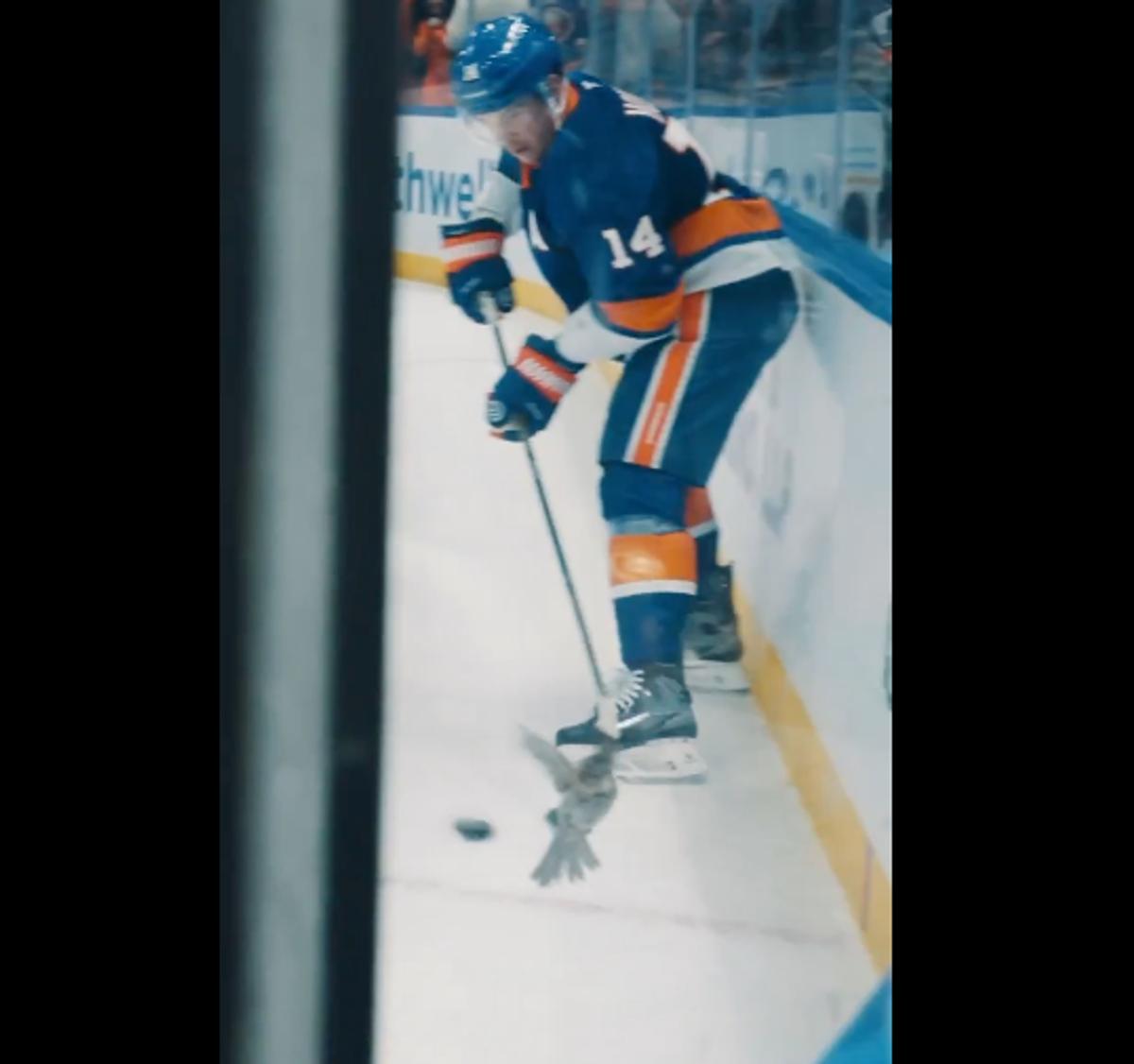 Bo Horvat