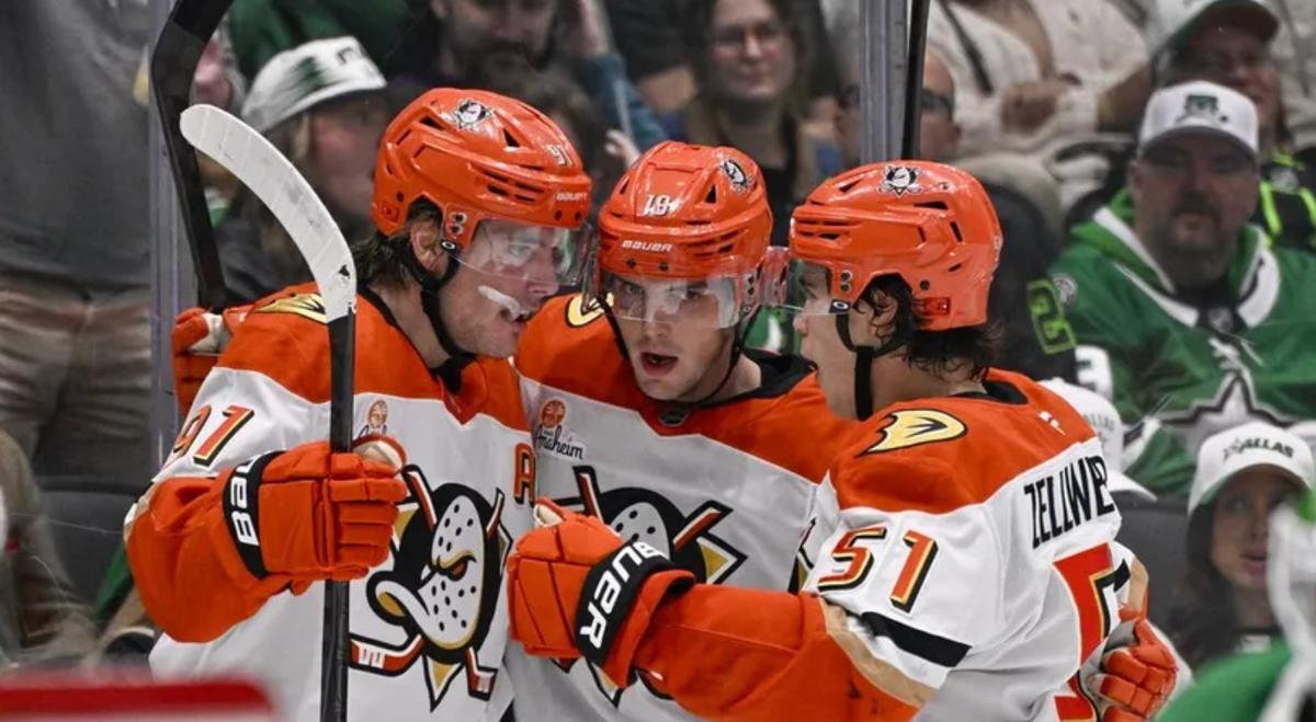 Ducks