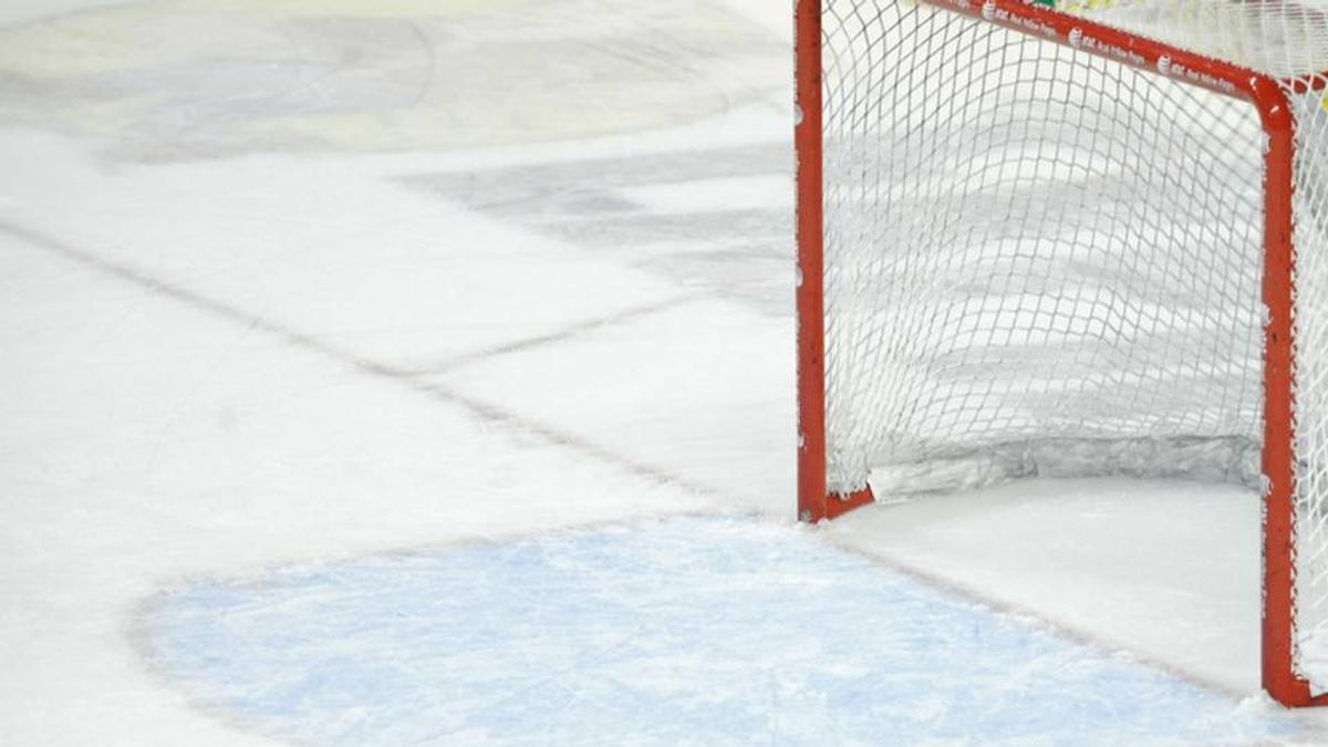 Empty net 