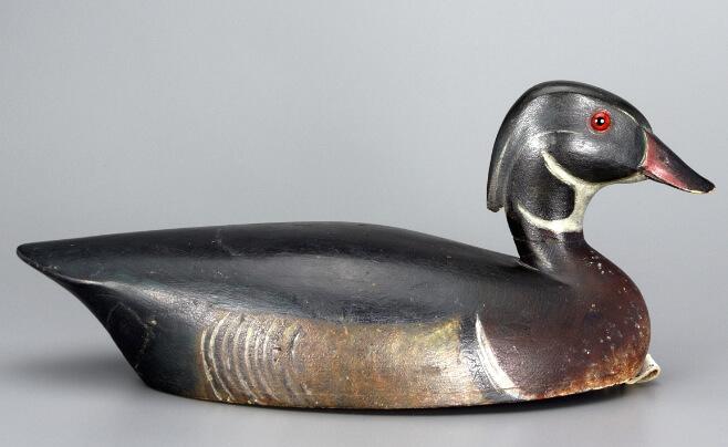 Canard